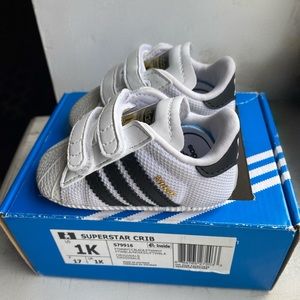 SUPERSTAR SHOES (shell tops) infant